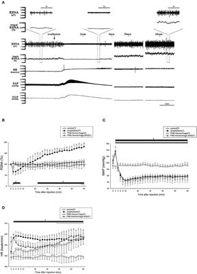 Mouse Anaphylactic Hypotension Is Characterized by Initial Baroreflex Independent Renal Sympathoinhibition Followed by Sustained Renal Sympathoexcitation